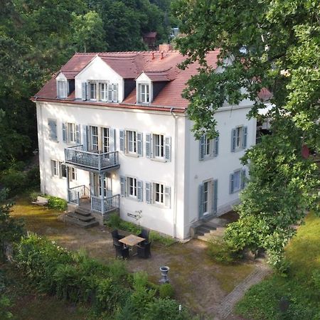 Villa Im Park Wachwitzgrund Drezno Zewnętrze zdjęcie