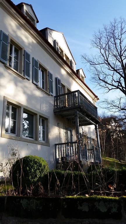 Villa Im Park Wachwitzgrund Drezno Zewnętrze zdjęcie