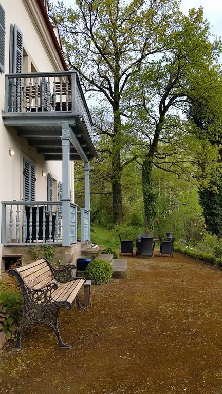 Villa Im Park Wachwitzgrund Drezno Zewnętrze zdjęcie