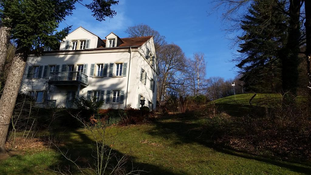 Villa Im Park Wachwitzgrund Drezno Zewnętrze zdjęcie