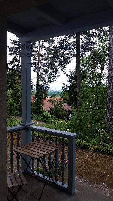 Villa Im Park Wachwitzgrund Drezno Zewnętrze zdjęcie